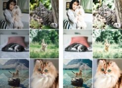 Cats Lightroom Presets Pet Cat Blogger Presets Cat Dog Portrait Presets 11 il 570xN.1947837612 r0tu