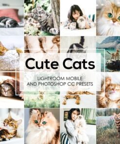 Cats Lightroom Presets Pet Cat Blogger Presets Cat Dog Portrait Presets