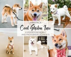 Pet Portrait Lightroom Presets Dog Presets Filters Shiba Inu Lightroom Mobile Presets