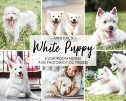 Dog Mobile Presets White Lightroom Presets Puppy Animal Presets Pet Blogger Presets Lightroom Desktop Presets
