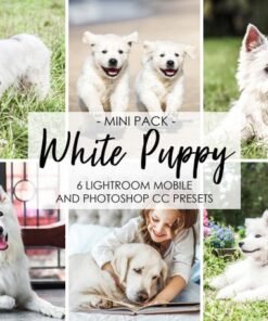 Dog Mobile Presets White Lightroom Presets Puppy Animal Presets Pet Blogger Presets Lightroom Desktop Presets