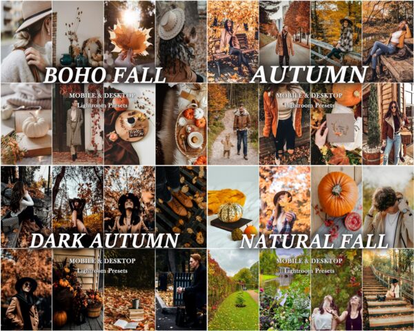 AUTUMN Lightroom Presets more than 850 Presets Fall Presets Bundle - Image 3