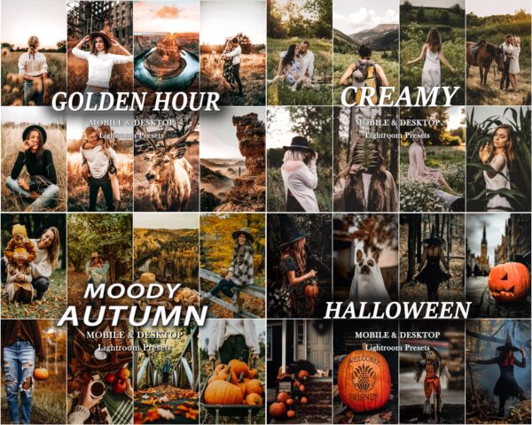 AUTUMN Lightroom Presets more than 850 Presets Fall Presets Bundle - Image 4