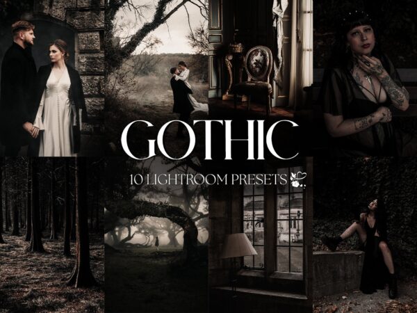 10 GOTHIC Mobile LIGHTROOM Presets, Aesthetic Presets, Dark Presets, Moody Presets Academia Presets