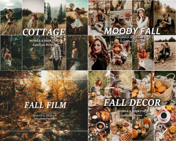 AUTUMN Lightroom Presets more than 850 Presets Fall Presets Bundle - Image 5