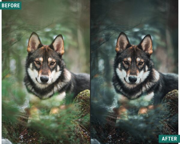 Dark Woods Lightroom Preset Pack Desktop and mobile presets - Image 5