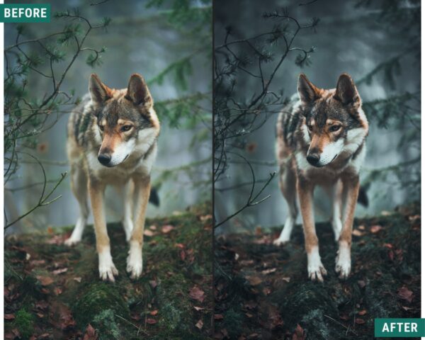 Dark Woods Lightroom Preset Pack Desktop and mobile presets - Image 8