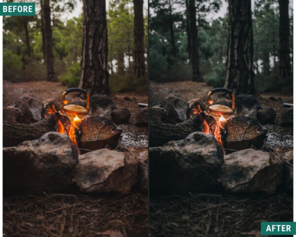 Dark Woods Lightroom Preset Pack Desktop and mobile presets - Image 7