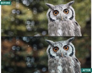 Alternative view of Dark Woods Lightroom Preset Pack Desktop and mobile presets