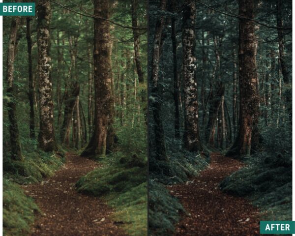 Dark Woods Lightroom Preset Pack Desktop and mobile presets - Image 9