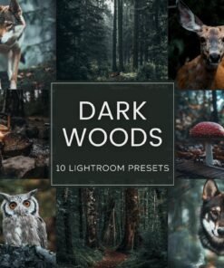 Dark Woods Lightroom Preset Pack Desktop and mobile presets