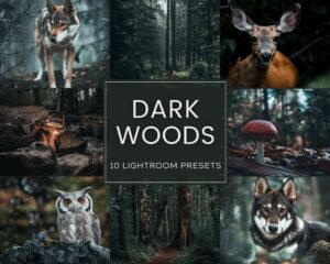 Dark Woods Lightroom Preset Pack Desktop and mobile presets