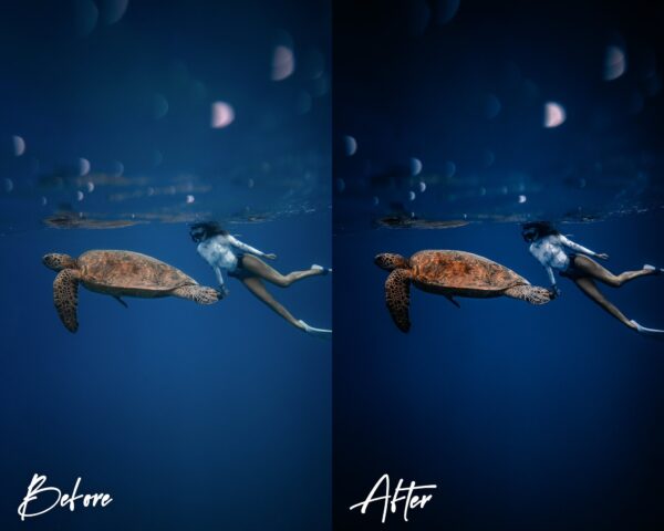 Underwater Lightroom Presets for Mobile and Desktop Diving Snorkeling Filters for Scuba Divers - Image 9