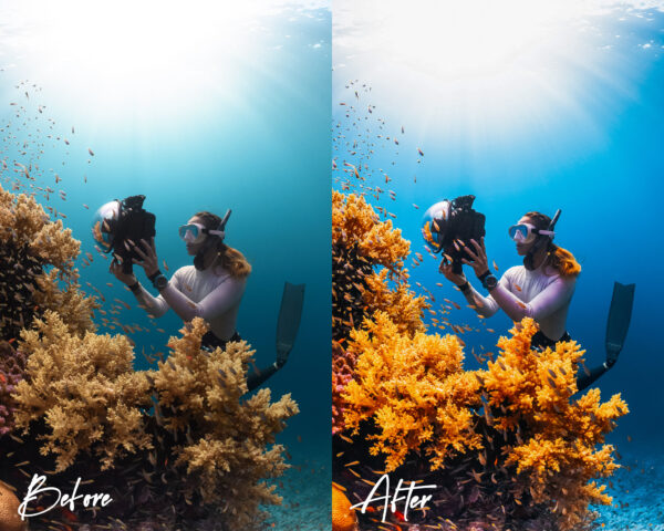 Underwater Lightroom Presets for Mobile and Desktop Diving Snorkeling Filters for Scuba Divers - Image 4