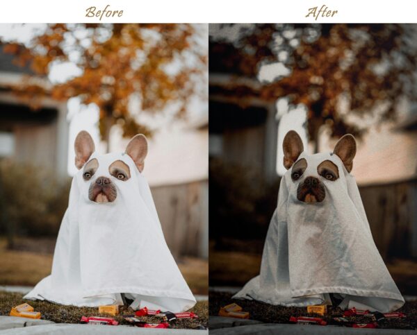 Halloween Presets Mobile LIGHTROOM Presets Fall Preset October Presets - Image 6