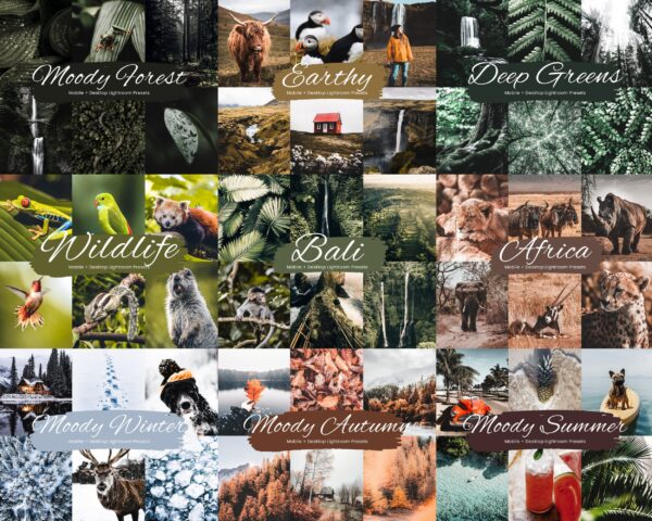 1300+ Lightroom Presets Bundle Mobile and Desktop Presets - Image 7