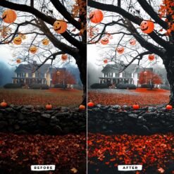 Witchy Vibes LightRoom Presets Witchy Vibes Mobile and Desktop Presets 9 68631181