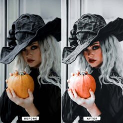 Witchy Vibes LightRoom Presets Witchy Vibes Mobile and Desktop Presets 10 70479527