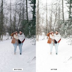 Winter Joy LightRoom Presets Winter Joy Mobile and Desktop Presets 12 77407226