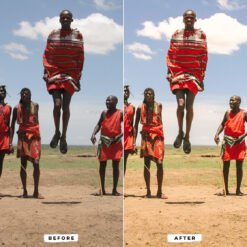 Alternative view of Africa Lightroom Presets Mobile and Desktop WildLife and Nature Presets