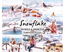 Snow Flake Winter LIghtroom Presets Christmas Mobile and Desktop Presets