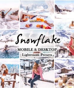 Snow Flake Winter LIghtroom Presets Christmas Mobile and Desktop Presets