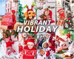 Vibrant Holiday Lightroom Presets Christmas Mobile and Desktop Presets XMAS Filters
