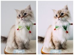 Vintage Christmas Lightroom Presets Mobile and Desktop Xmas Filters 12 il fullxfull.4325457395 89zw scaled