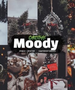 Warm Christmas Moody Lightroom Presets Mobile and Desktop Cozy Xmas Filters