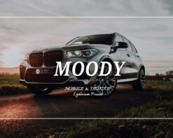 Auto Lightroom Presets 450+ Car Presets Bundle Moto Presets Cinematic Car 13 il fullxfull.5925844819 iah1