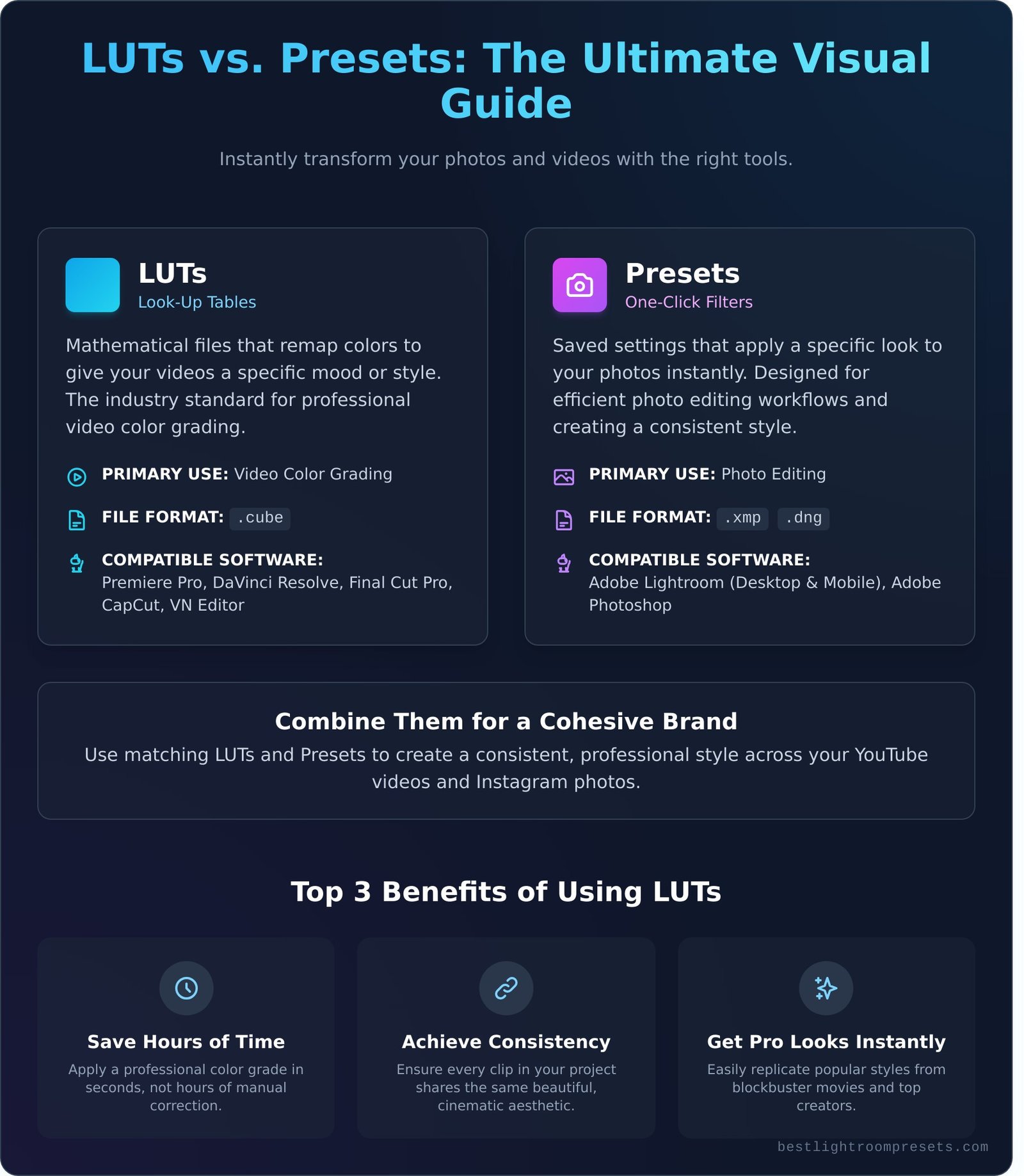 Free LUTs: Download 10+ Stunning LUTs for Cinematic Videos - Infographic