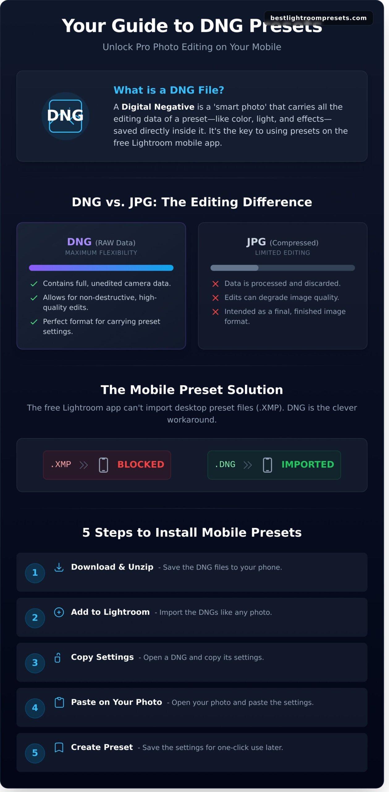 What is a DNG File? The Simple Guide for Lightroom Preset Users - Infographic